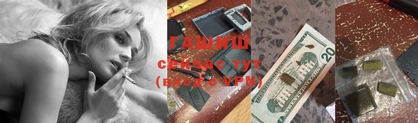 apvp Алексин