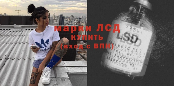 apvp Алексин