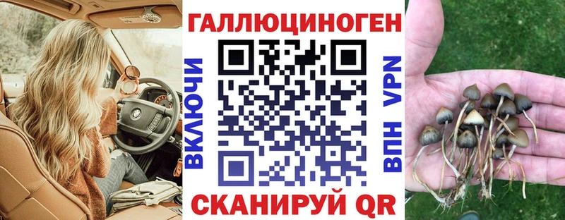 Псилоцибиновые грибы Magic Shrooms  купить   Нефтекамск 